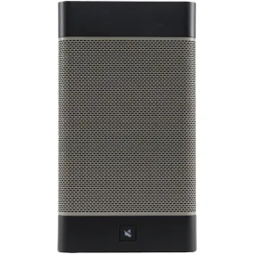 Grace Digital GDI-CTDK-201 CastDock(TM) Speaker