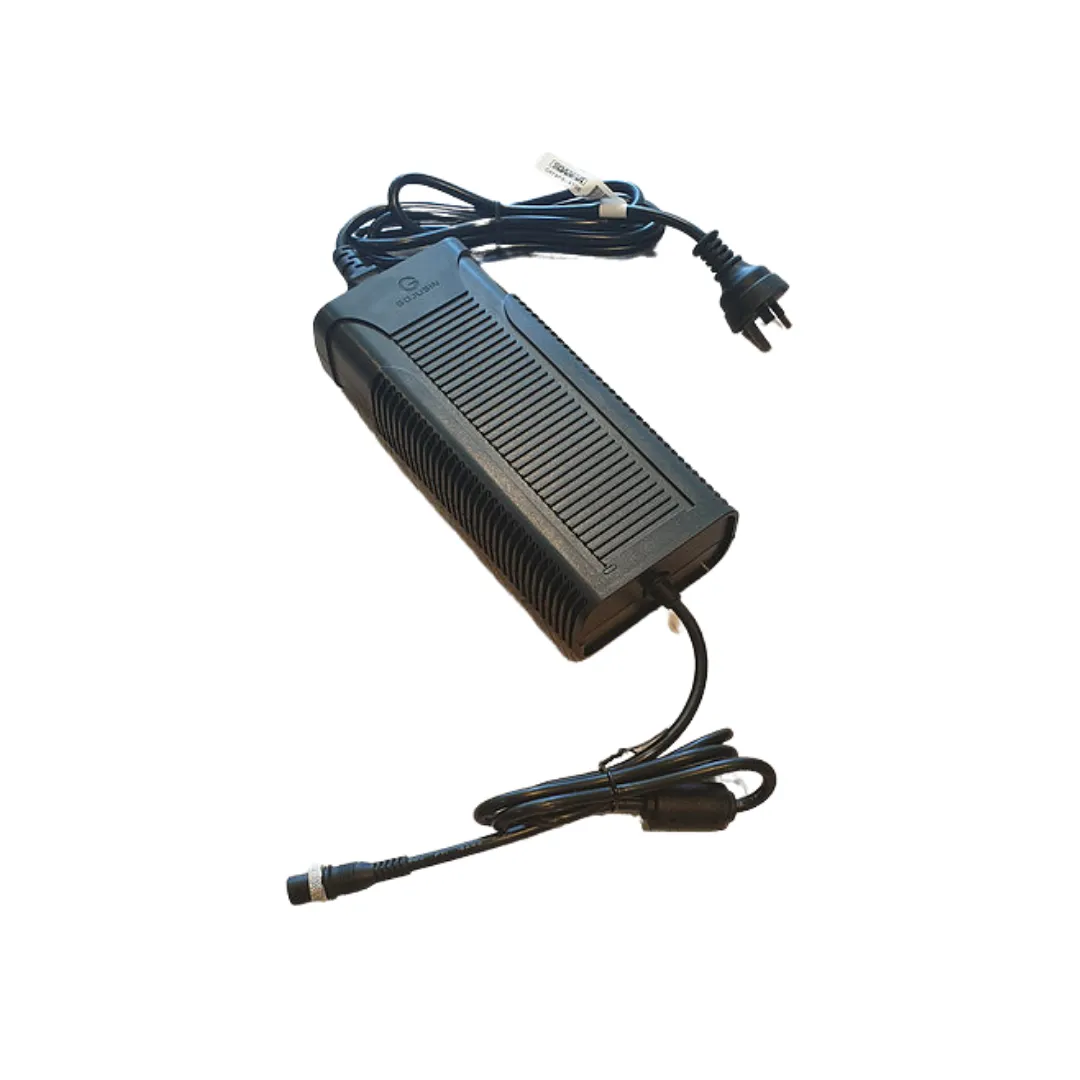 Weped 60V Fast Charger